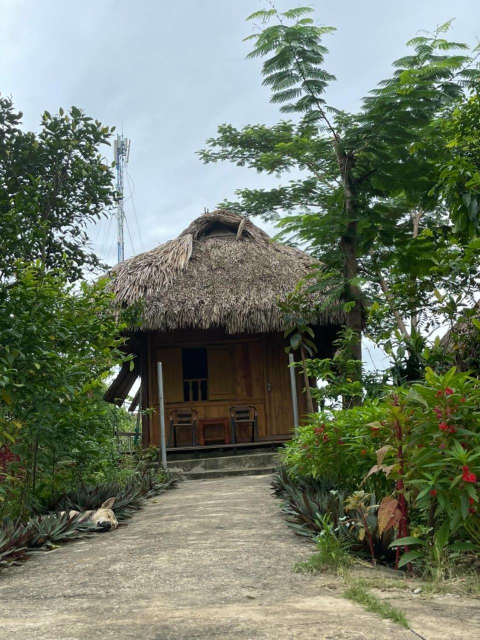 Cuc Phuong Bungalow Nho Quan Buitenkant foto