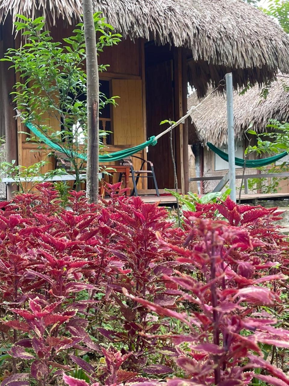 Cuc Phuong Bungalow Nho Quan Buitenkant foto